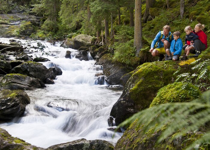 Wilde Wasser bei Schladming | © Österreich Werbung | Udo Bernhart