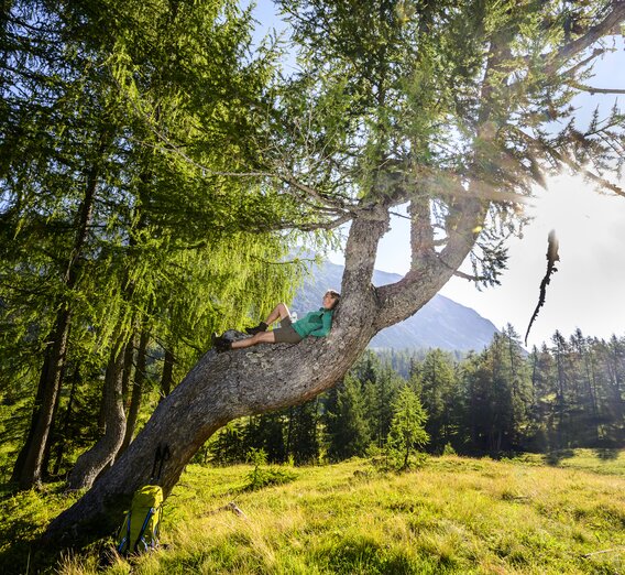 Rast am Weg auf die Tauplitzalm | © STG | Pixelmaker