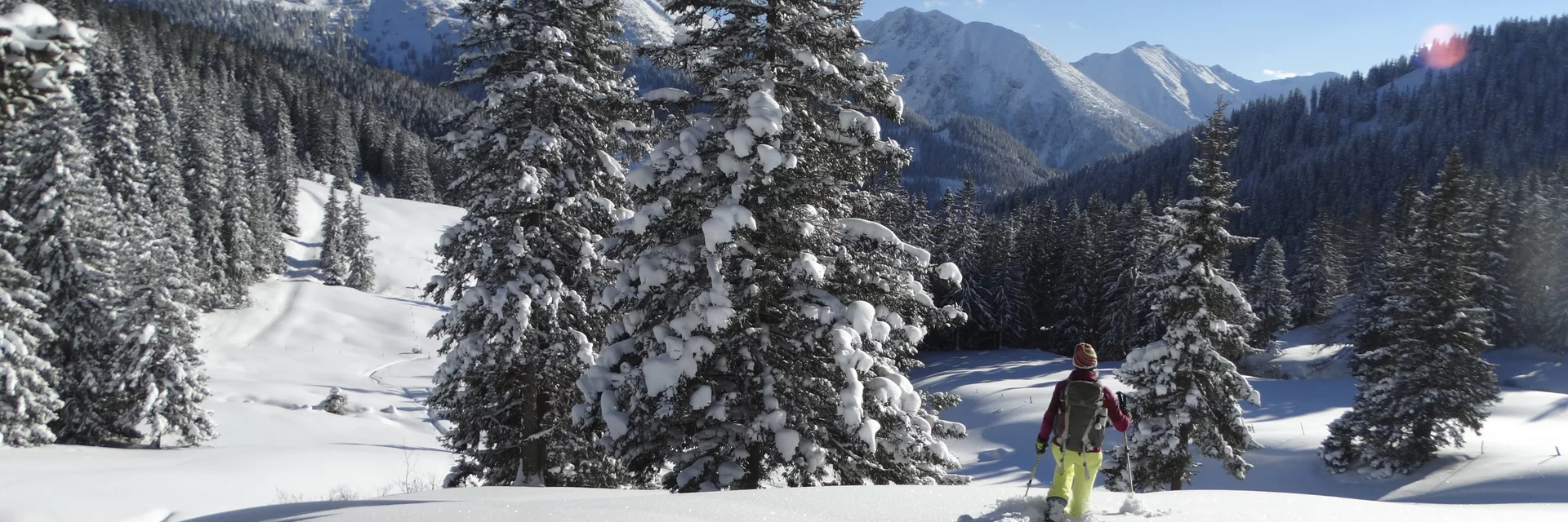 Moaralm mit Blick auf die Seckauer Alpen | © WEGES | Weges