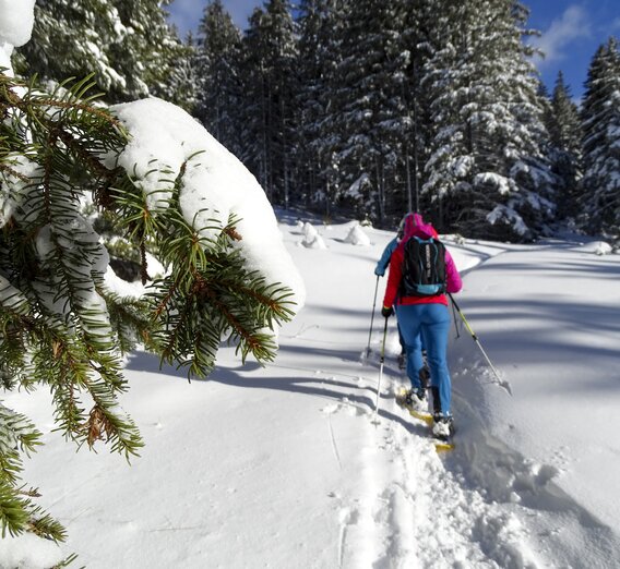 Snowshoeing at the Steinplan (close to Kleinlobming) | © WEGES | Weges