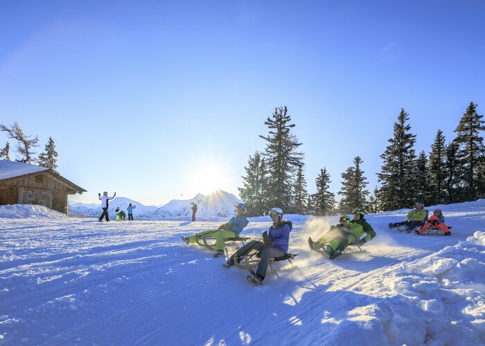 Tobogganing and night tobogganing at Hochwurzen | © TVB Schladming-Dachstein | Martin Huber