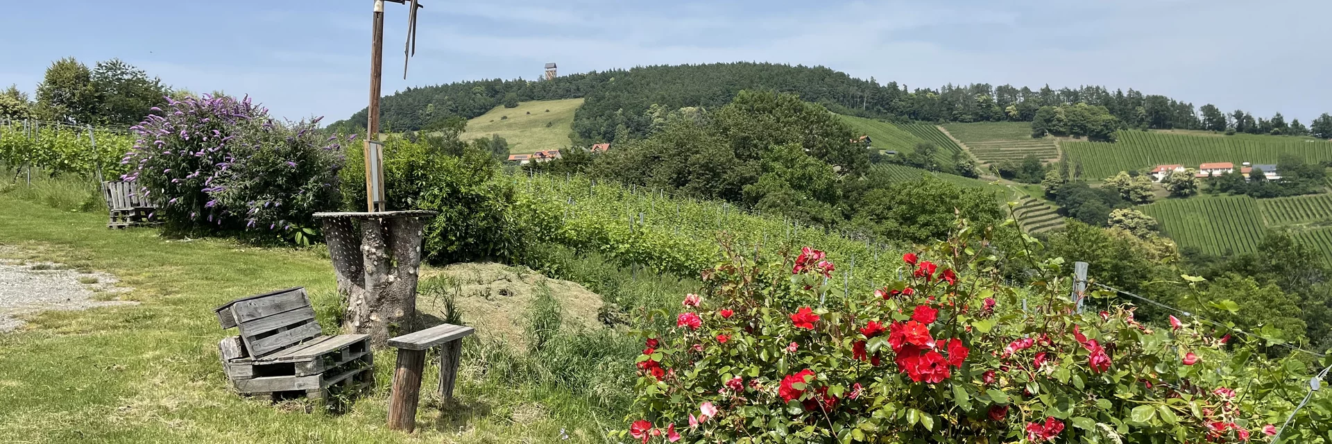 Blick zur Demmerkogelwarte | © Steiermark Tourismus | Lisa Anderle