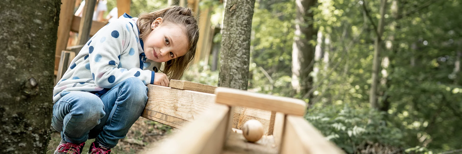 Holzkugelbahn im Waldpark | © TV Naturpark Almenland | Pretterhofer