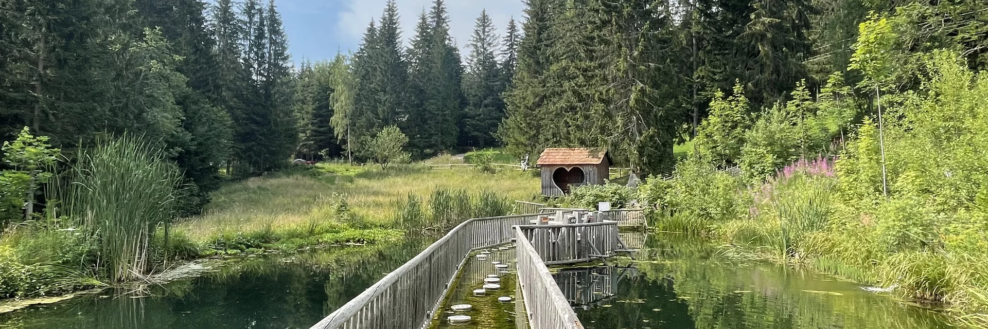 Der Barfußteich wird zum Balanceakt. | © STG | Elisabeth Stolzer