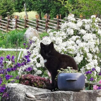 Alpenkräutergarten Käfer_Pöllau_Oststeiermark | © Alpenkräutergarten Käfer