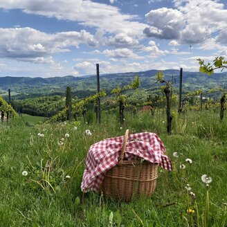 Titelbild Picknick im Weingarten | © Hack Gebell | Fam. Hack Gebell