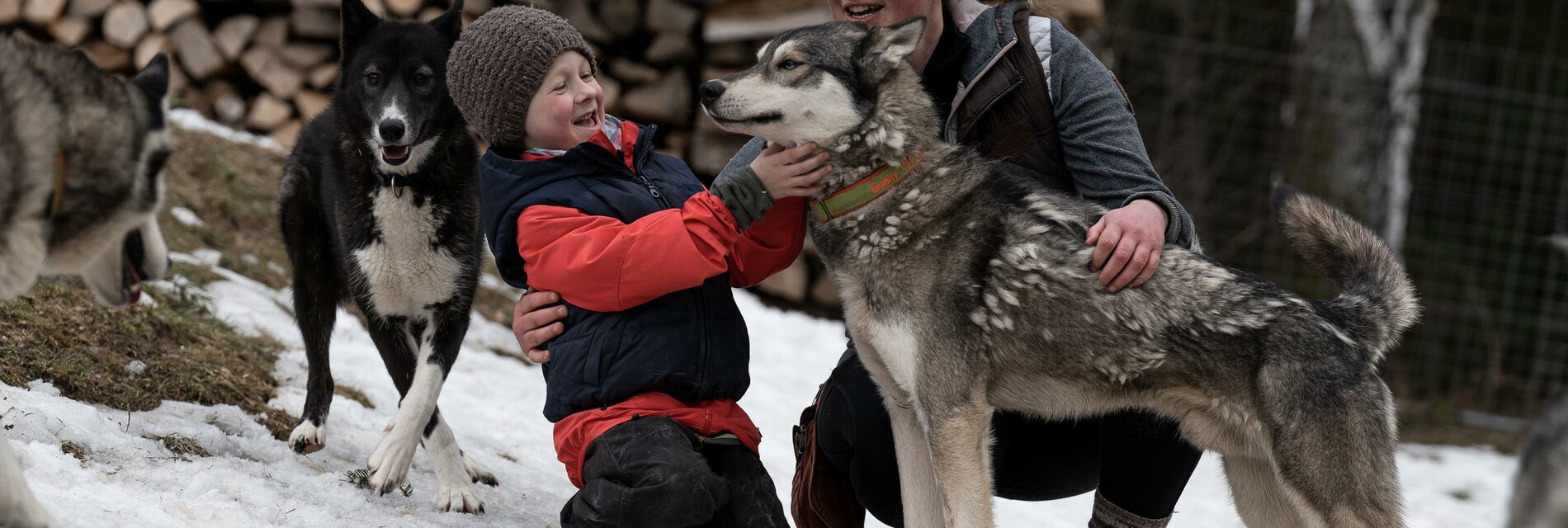 IRON ROAD SIBERIANS | © IRON ROAD Siberains