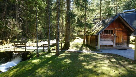 Waldsauna mit Kneipbecken