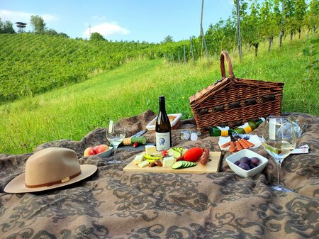 Picknick-Weingarten-Suedsteiermark-Leutschach-Wein