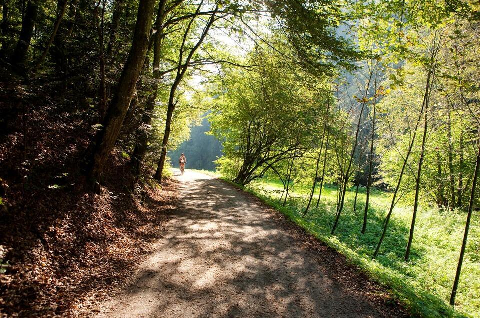 Raabtal bike trail - Impression #1 | © Tourismusverband Oststeiermark