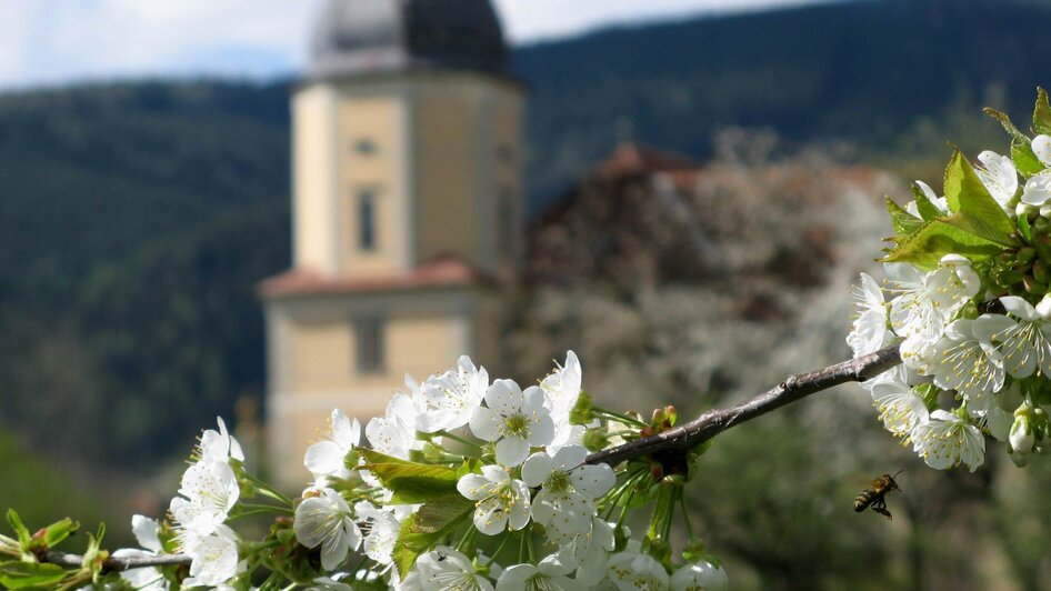 AbteiSeckau-Außenansicht4-Murtal-Steiermark | © Abtei Seckau