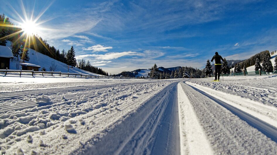 Amenland Loipen_Langlaufspur_Oststeiermark | © Tourismusverband Oststeiermark