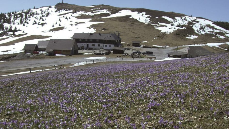 Altes Almhaus_Frühling | © Keine Kenntnis, Homepage