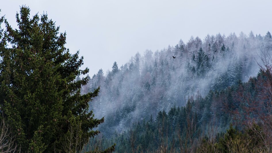 Foessl-Berg-Murtal-Steiermark | © Anita Fössl Fotografie