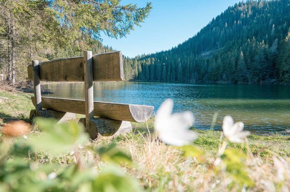 Auerlingsee - Impression #1