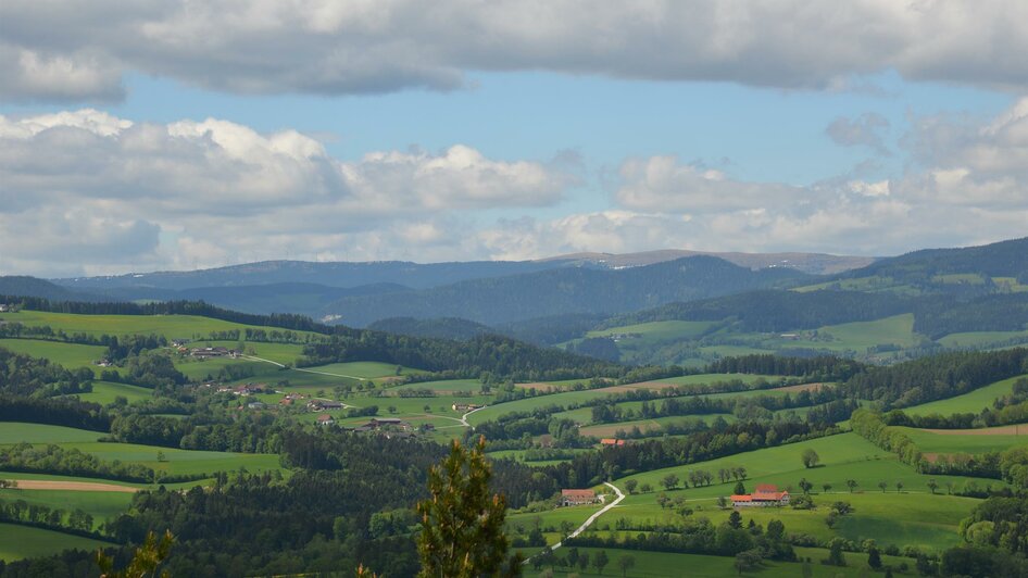 GERA_Aussicht Pretul_Oststeiermark | © Tourismusverband Oststeiermark