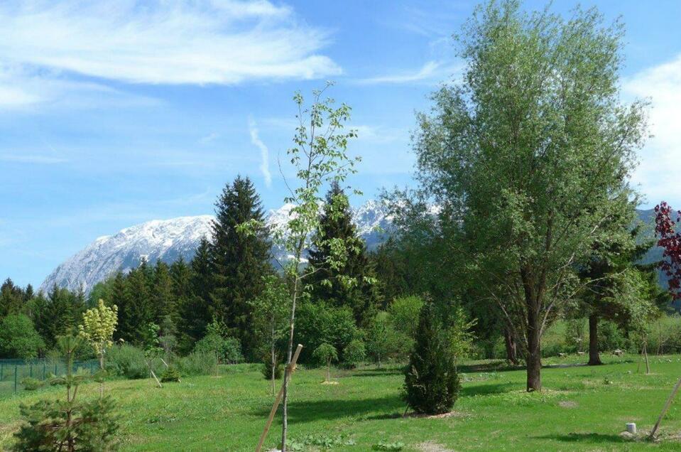 Barefoot Park Bad Mitterndorf - Impression #1 | © Fanz Gepp