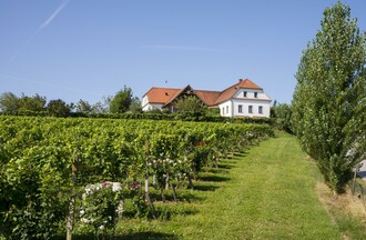 Exterior view Bergstadl Leitersdorfberg  | © Bergmann