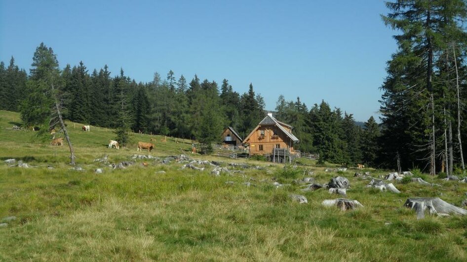 Bernsteinhütte und Almenlandschaft | © TV Lipizzanerheimat | EU