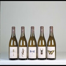 Bio-Weingut Tscheppe Andreas Flaschen | © Bio-Weingut Tscheppe Andreas | Andreas Tscheppe