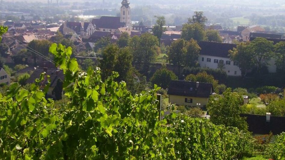 Buschenschank Schmallegger_Weingarten_Oststeiermar | © Familie Schmallegger