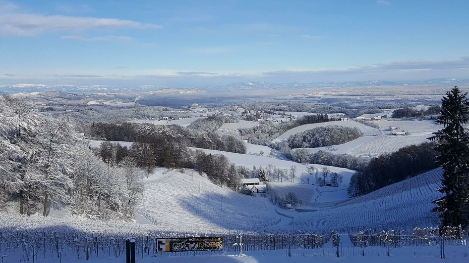 Buschenschank Gallunder - Ausblick im Winter | © Buschenschank & Weingut Gallunder