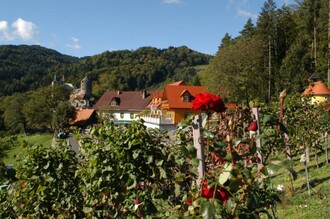 Winzerstube Jauk Wieser im Schilcherland | © Stöcklpeter