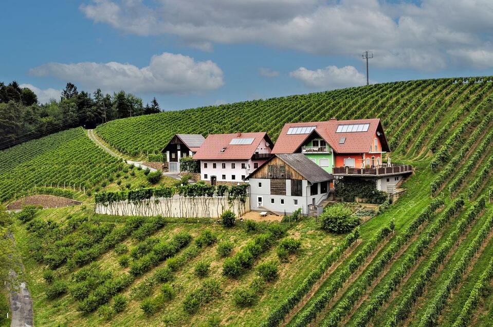 Buschenschank "Kogelhohl" - Impression #1 | © Familie Hainzl