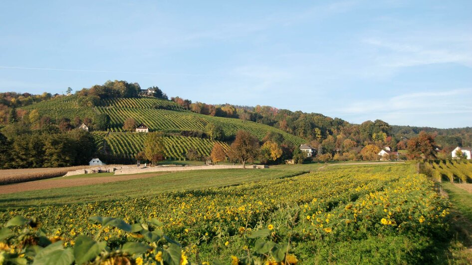 Buschenschank Pusswald_Panorama_Oststeiermark | © Buschenschank Pusswald