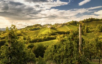 Panorama Weinstraße | © Steiermark Tourismus | Wolfgang Jauk