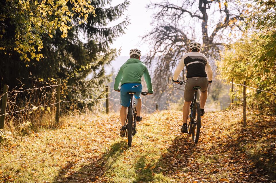 E-bike rental the Almblick - Impression #1 | © Tourismusverband Oststeiermark