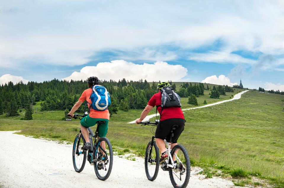 E-Bike rental hotel Schwengerer - Impression #1 | © Region Joglland - Waldheimat