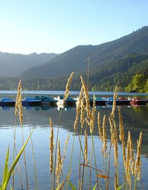 Erlaufsee Sommer | © TV Hochsteiermark | Fred Lindmoser | © TV Hochsteiermark