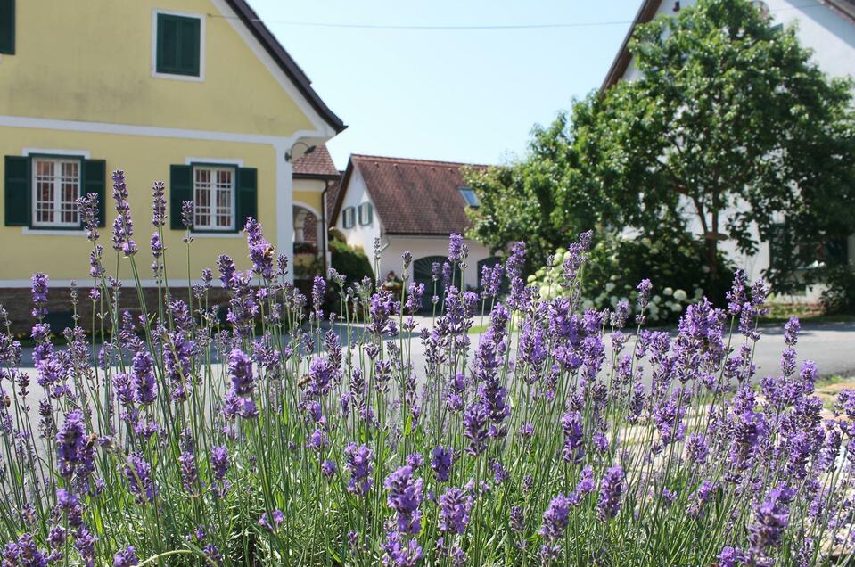 Erlebnis- und Genusswelt Farmer Rabensteiner vlg. Graf - Impression #1 | © Farmer Rabensteiner