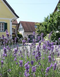 Genusshof | © Farmer Rabensteiner | Farmer Rabensteiner | © Farmer Rabensteiner