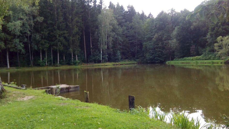 Karner Teich_Blick auf den Teich_Oststeiermark | © Tourismusverband Oststeiermark