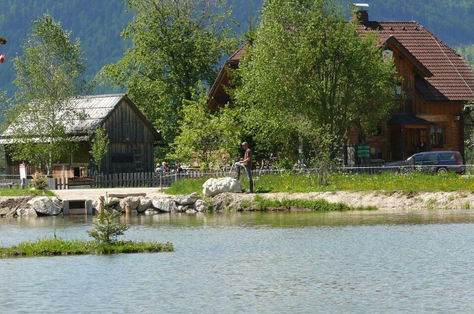 Fischen am Stiegerteich - Impression #1 | © Familie Pliem _Jausenstation Stieger