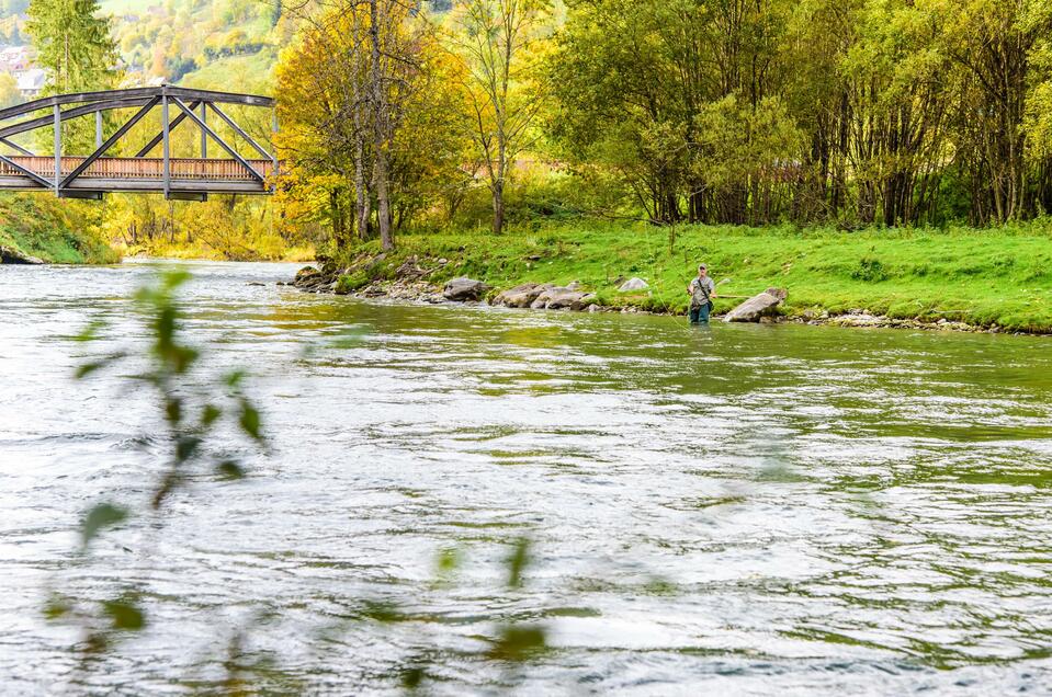 Fischen im Stau Bodendorf - Impression #1 | © Rene Hochegger