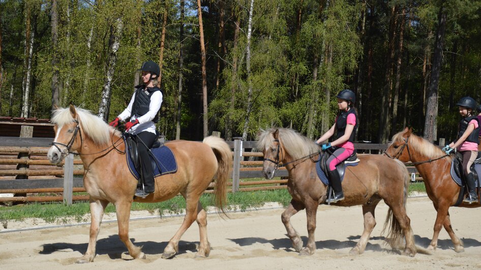 Reiten bei der Römerhütte | © Michael Lechner