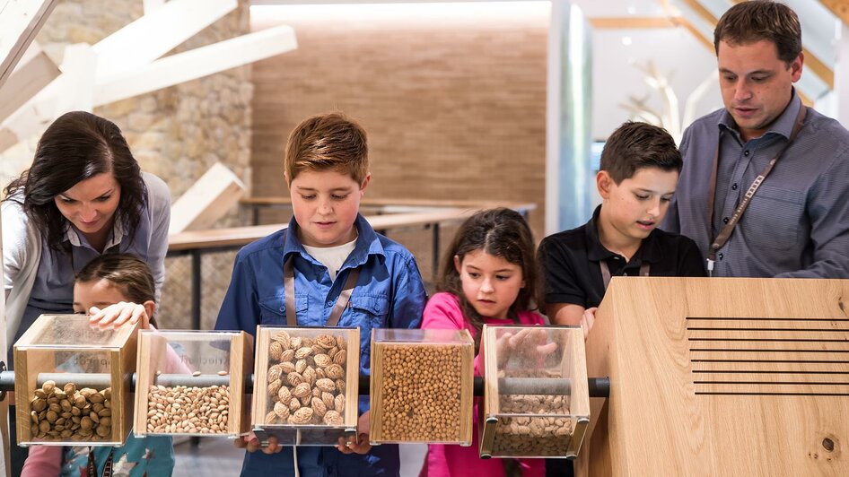 Obstkerne raten | © Manufaktur Gölles