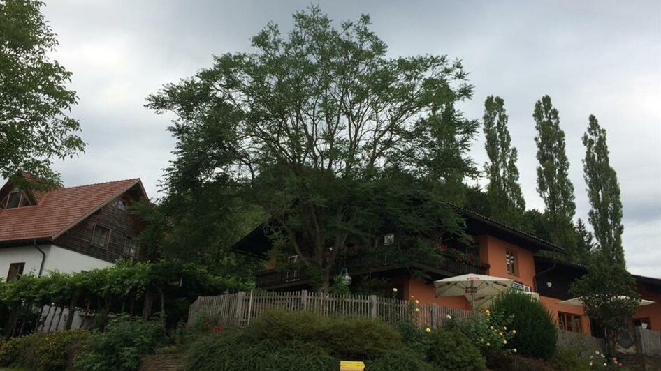 Panorama Wirts- und Gästehaus | © Familie Koschak