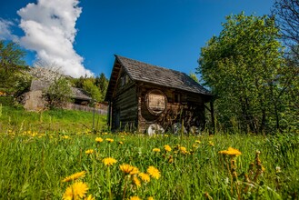 Getreidemühle | © Holzwelt Murau