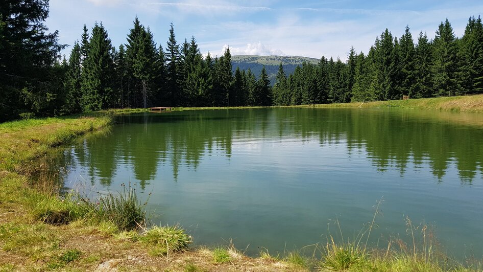 Teich bei der Glatzl Trahütten Alm | © Glatzl Trahütten Alm