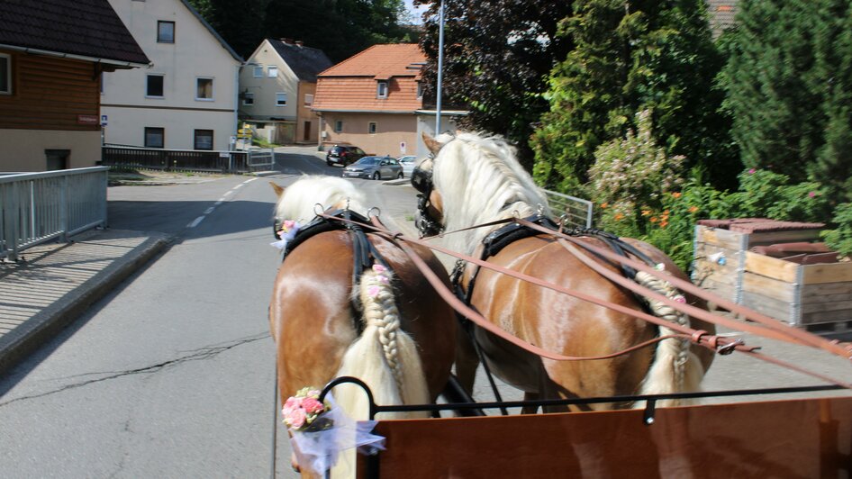 Kutsche-Haflinger-Murtal-Steiermark | © Katschnig