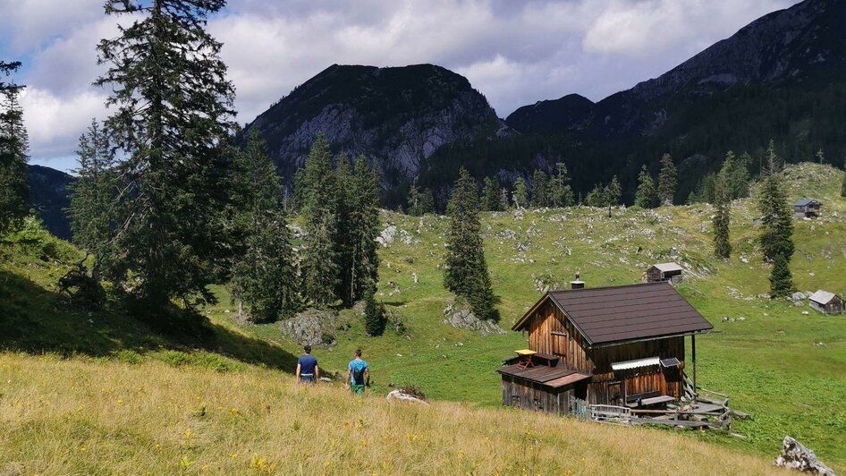 Schwarzenbergalm, Altaussee, Almgebiet | © TVB Ausseerland Salzkammergut_Theresa Schwaiger