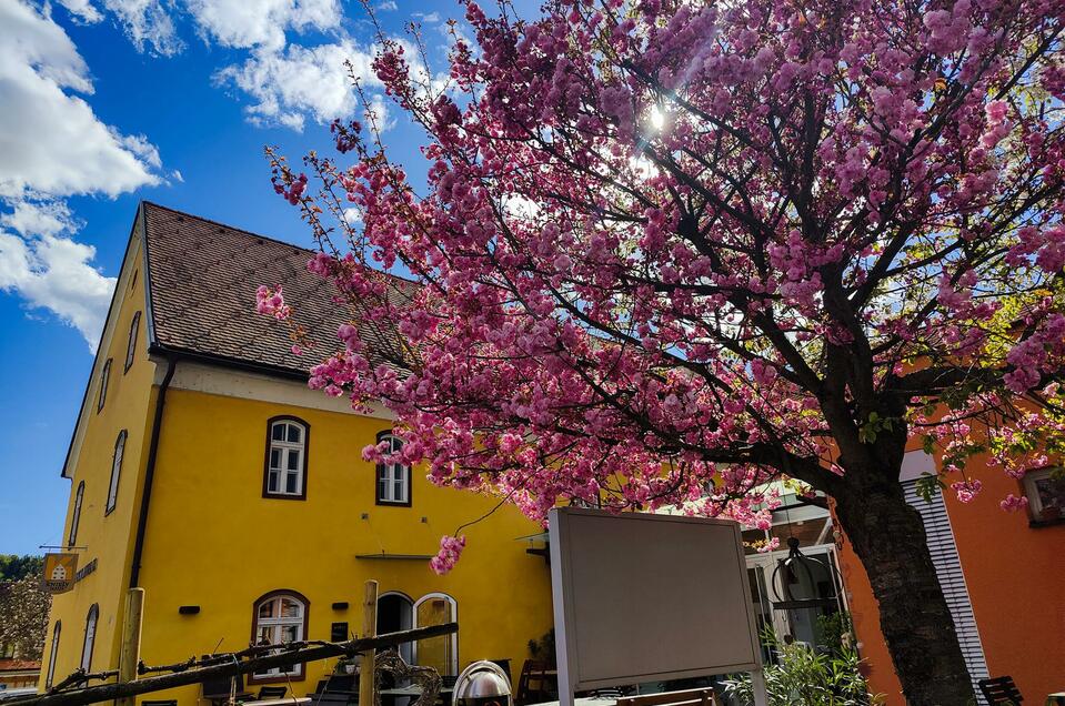 Kniely Haus Leutschach - Impression #1 | © Kniely Haus Leutschach