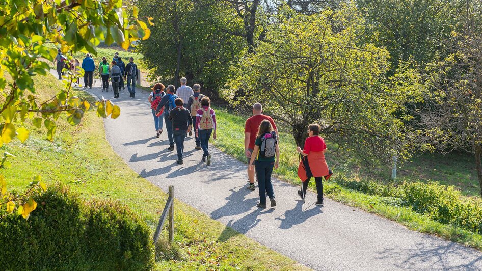 Orgelwandern_Wanderung_Oststeiermark | © Tourismusverband Oststeiermark