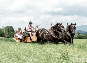 KutschenDeutinger-Kutschfahrt-Murtal-Steiermark | © Norikerhof Deutinger