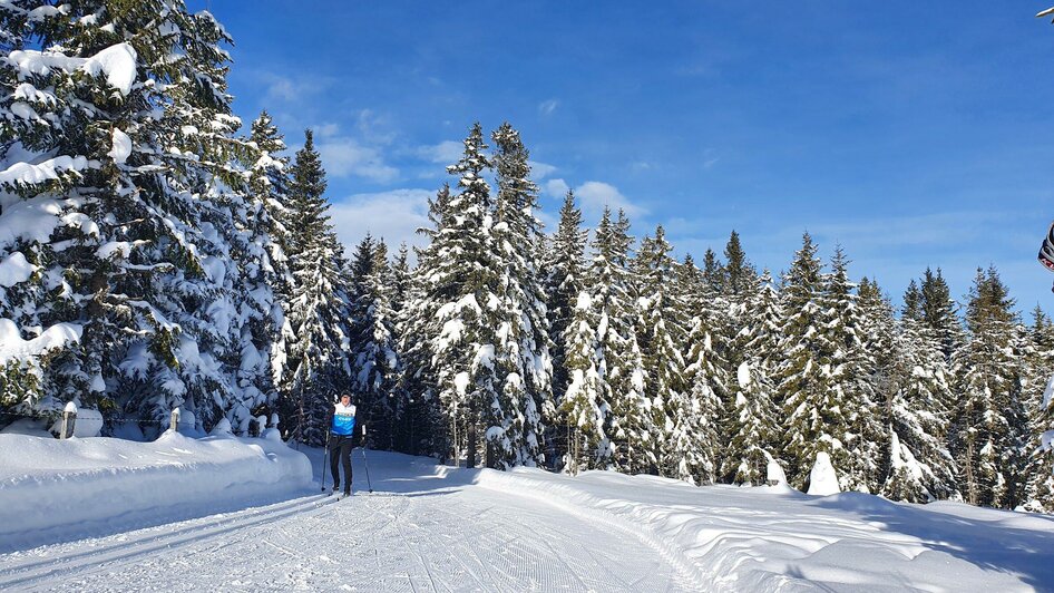 Langlaufzentrum Hebalm | © Langlaufzentrum Hebalm - Mario Penanso