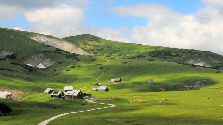 Schneealmplateau im Sommer | © Naturpark Mürzer Oberland